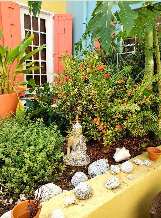 Crown Lotus Apartman Christiansted Kültér fotó